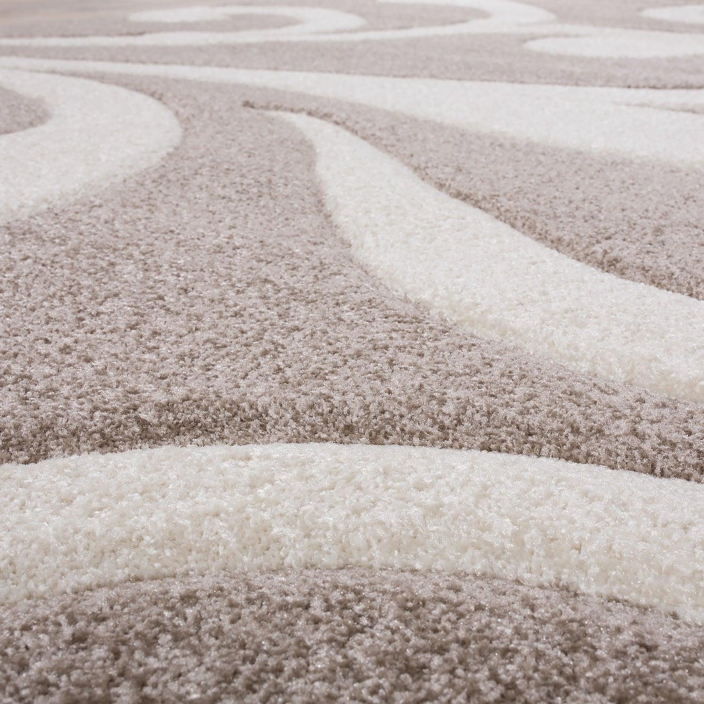 Area Rug Lafleur Modern Floral Pattern with Contour Cut - Beige - RugYourHome