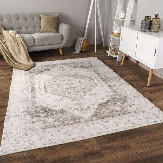 Modern Area Rug Cambridge with Vintage Faded Look