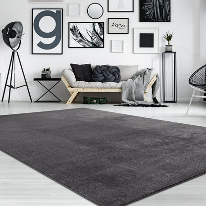 Soft Area Rug with Anti-Slip Backing Washable - Dark Gray